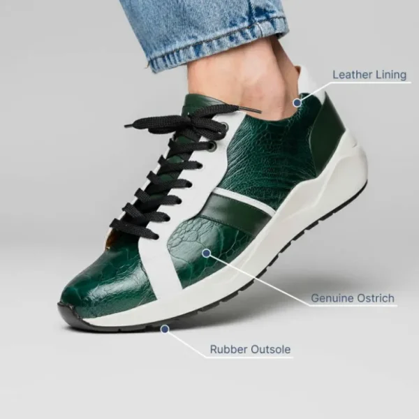 Hot Marco di Milano Lyon Ostrich Leg & Calfskin Sneakers Green / White