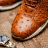 Flash Sale Marco di Milano Scanno Ostrich Quill Sneakers Antique Cognac AntiqueCognac
