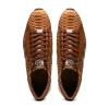 Sale Marco di Milano Verona Python & Calfskin Sneakers Honey
