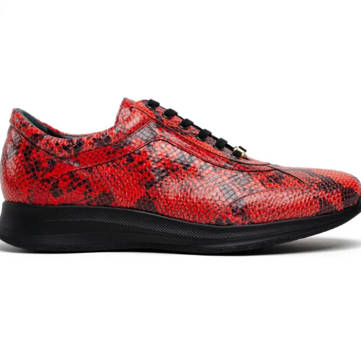 New Maseratti Snake 6004 Embossed Python Sneakers Cimarron