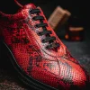 New Maseratti Snake 6004 Embossed Python Sneakers Cimarron