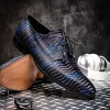 Shop Mauri 3208 Gala Balera Shoes Blue / Purple / Black