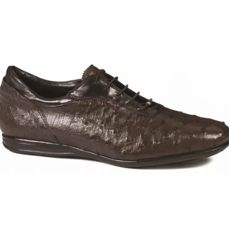 Shop Mauri 9295 Ostrich Quill Sneakers (Special Order) Brown