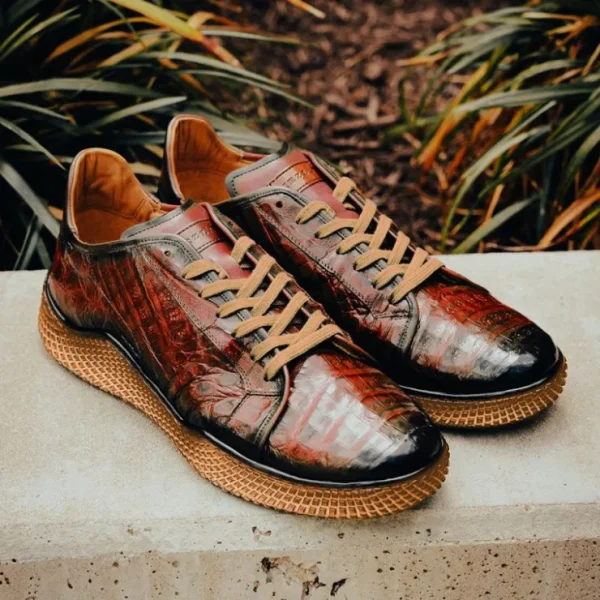 Shop Mezlan Crocodile Super Sneaker (AX4936-F) Sport