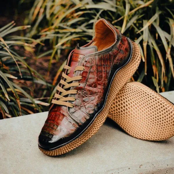 Shop Mezlan Crocodile Super Sneaker (AX4936-F) Sport