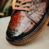 Shop Mezlan Crocodile Super Sneaker (AX4936-F) Sport