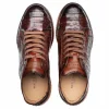Shop Mezlan Crocodile Super Sneaker (AX4936-F) Sport