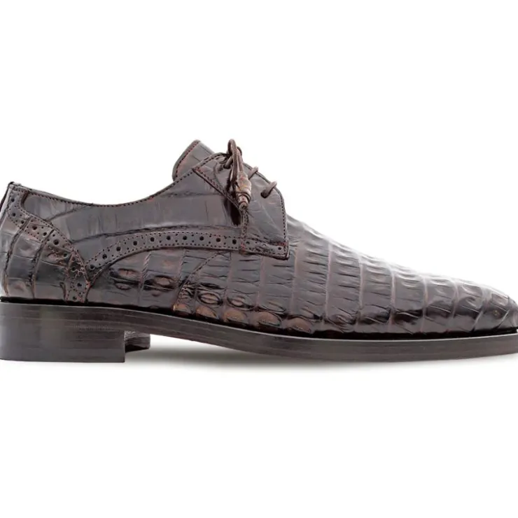 Outlet Mezlan Golfo Plain Toe Crocodile Derby (4967-F) Brown
