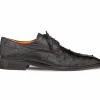 Store Mezlan Tillson Ostrich Plain Toe Blucher (4732-S) Black