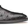 Store Mezlan Tillson Ostrich Plain Toe Blucher (4732-S) Black