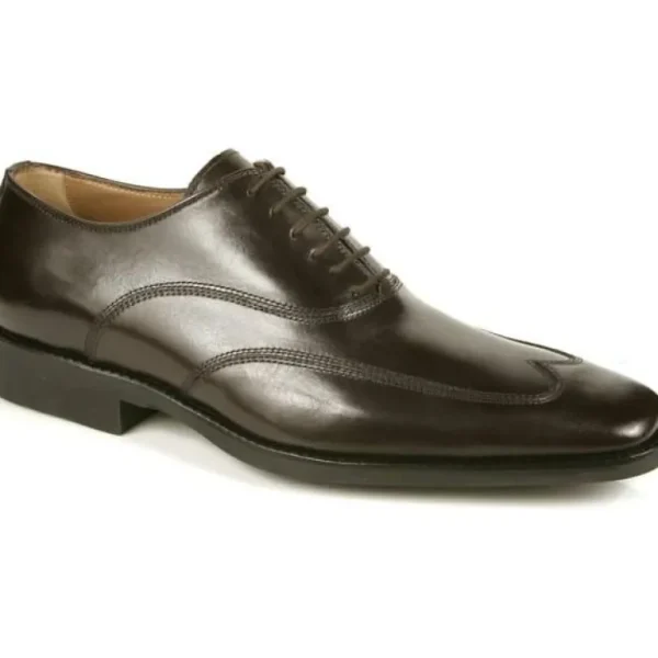 michael_toschi_luciano_wi_0-1.webp New Michael Toschi Luciano Wing Tip Shoes Chocolate