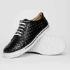 New Robert Zur Jesse Tie Sneaker Black