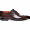 Discount Santoni Dole SLFT50 Cap Toe Oxfords Dark Brown DarkBrown