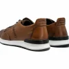 Cheap Vinci Leather Shoes Vinci Leather San Salvador Leather Sneaker (11177) Brown