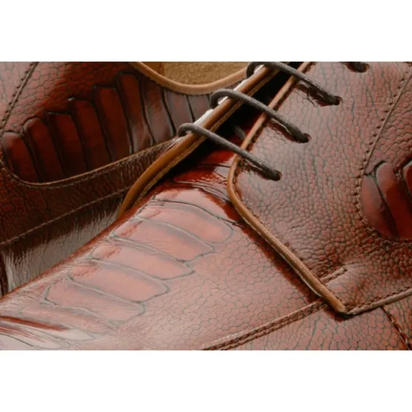 vinci_leather_the_martin__3-1.webp New Vinci Leather Shoes Vinci Leather The Martin Leather Derby Shoe (6055) Brown