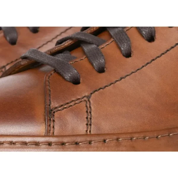 vinci_leather_the_noble_b_2-1.webp Clearance Vinci Leather Shoes Vinci Leather The Noble Leather Sneaker (D-2189) Brown
