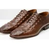 Fashion Vinci Leather Shoes Vinci Leather The Randor Leather Oxford Shoe (D-913) Brown
