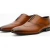 Best Vinci Leather Shoes Vinci Leather The Roma Leather Wingtip Oxford Shoe (10724) Brown