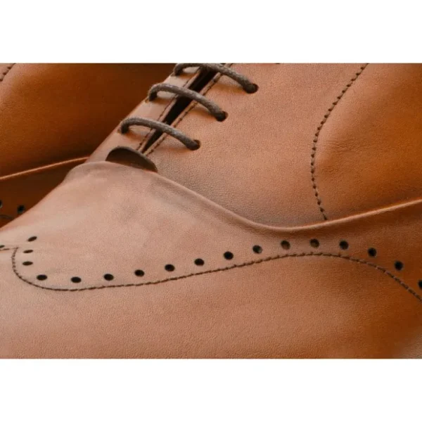 vinci_leather_the_roma_br_3.webp Best Vinci Leather Shoes Vinci Leather The Roma Leather Wingtip Oxford Shoe (10724) Brown
