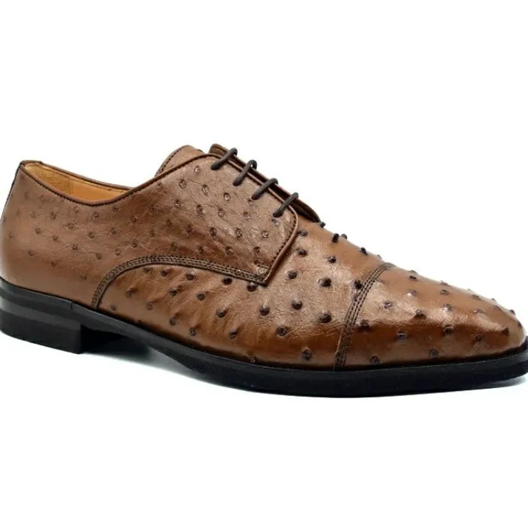 New Zelli Andrea Ostrich Cap Toe Shoes (23-538-BDY) Brandy