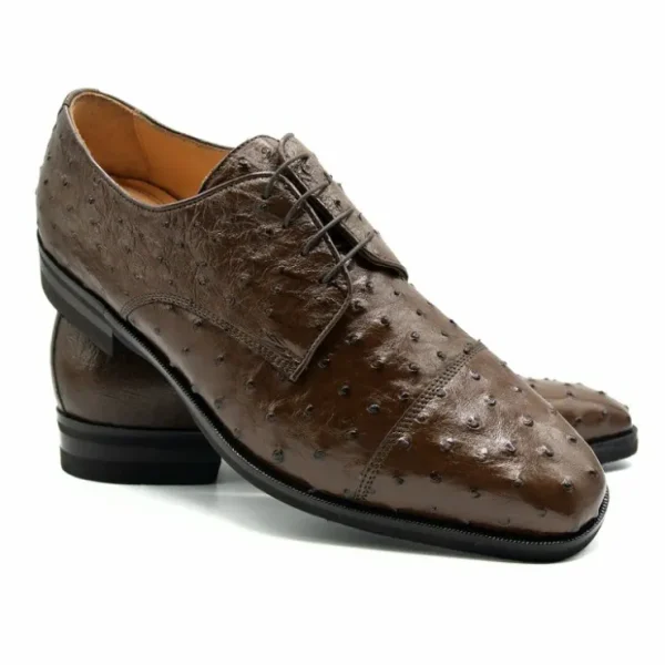 zelli_andrea_ostrich_cap__1-1.webp Discount Zelli Andrea Ostrich Cap Toe Shoes (23-538-BRN) Brown