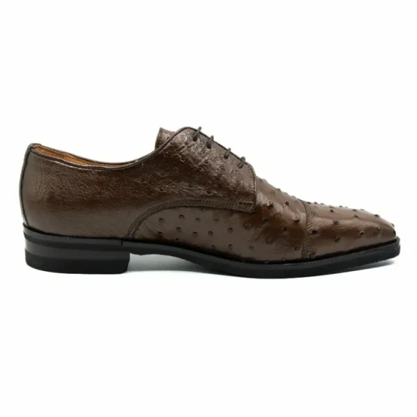 zelli_andrea_ostrich_cap__2-1.webp Discount Zelli Andrea Ostrich Cap Toe Shoes (23-538-BRN) Brown