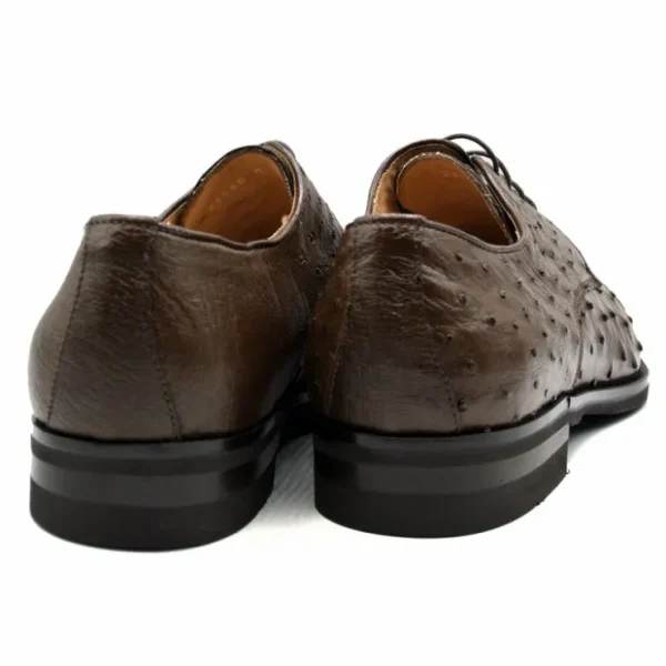 zelli_andrea_ostrich_cap__3-1.webp Discount Zelli Andrea Ostrich Cap Toe Shoes (23-538-BRN) Brown