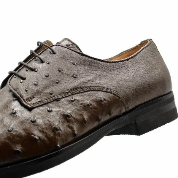 zelli_andrea_ostrich_cap__4-1.webp Discount Zelli Andrea Ostrich Cap Toe Shoes (23-538-BRN) Brown