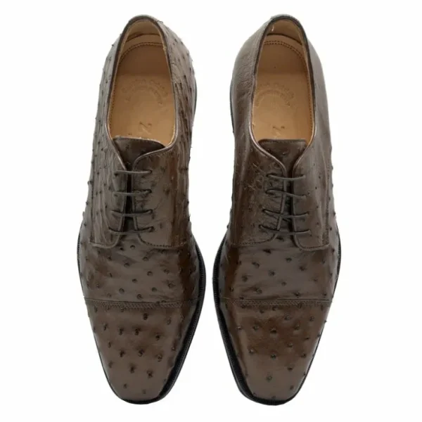 zelli_andrea_ostrich_cap__6-1.webp Discount Zelli Andrea Ostrich Cap Toe Shoes (23-538-BRN) Brown