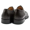 Sale Zelli Giovanni Lizard Cap Toe Brogues (24-526-BRN) Brown