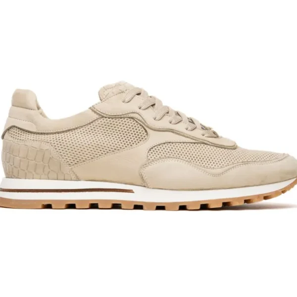 zelli_milo_suede_amp_mesh_0.webp Outlet Zelli Milo Suede & Mesh Trainer Sneaker (66-246-SND) Sand