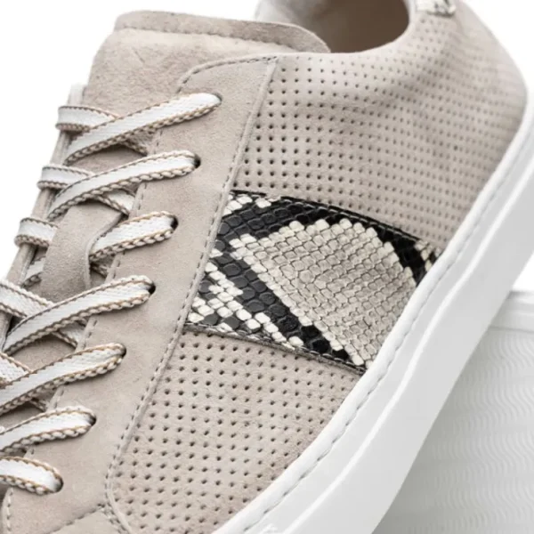 Outlet Zelli Olympias Python & Sueded Goatskin Sneakers (66-100-GRY) Grey