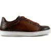 Cheap Zelli Russo Calfskin & Crocodile Sneakers (65-201-BRN) Brown